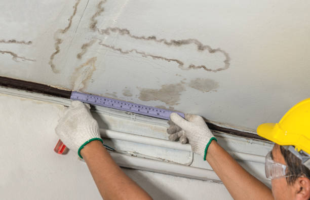 Reliable Structural Drying contractor in Pittstown, NJ by Water Damage Irwin